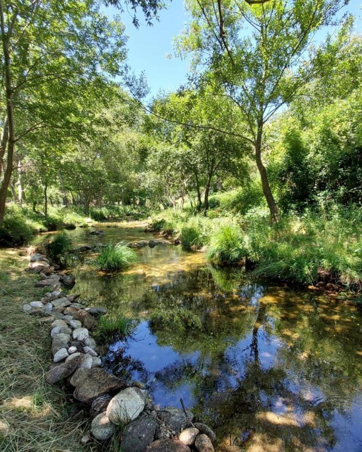 Hotel Ribera Del Corneja Navacepedilla de Corneja Екстериор снимка