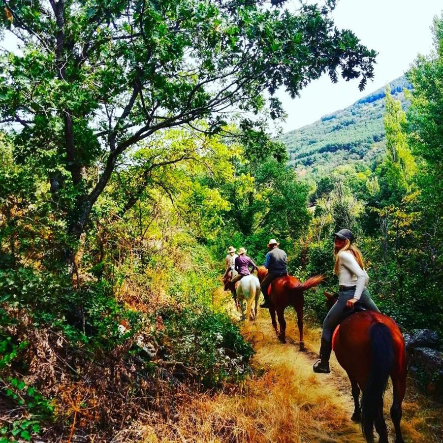 Hotel Ribera Del Corneja Navacepedilla de Corneja Екстериор снимка